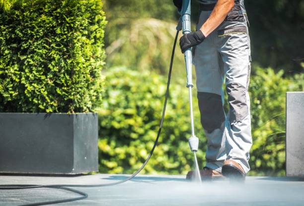 Best Rust Removal  in Rockledge, FL